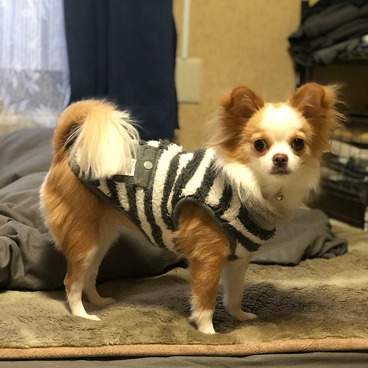 またお手手だけ脱ぐやろうから
袖ナシに着替えておこうね👍😊
