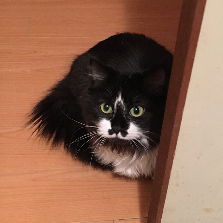 ちっちゃい…😌💕
