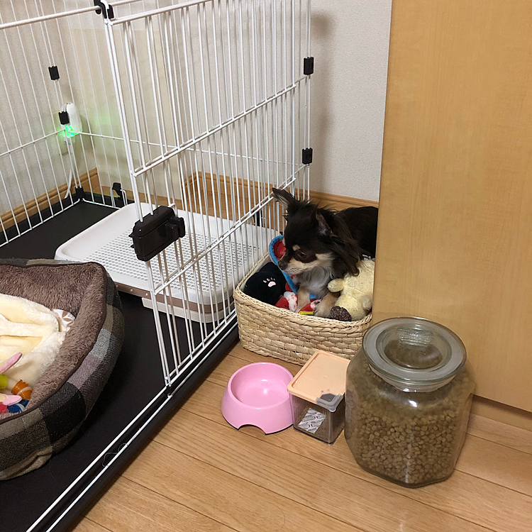 なぜそこ…