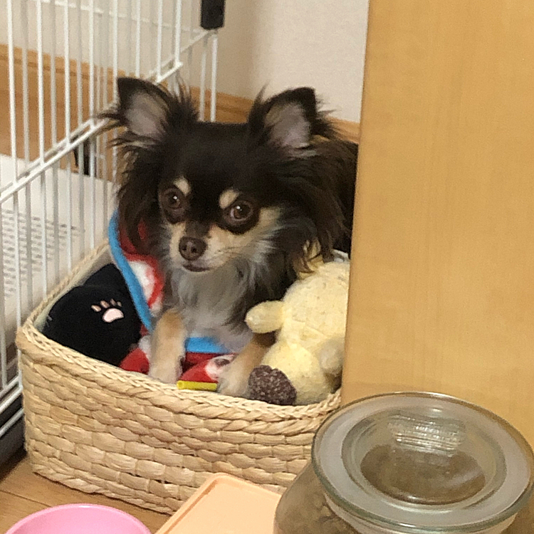 オモチャいれじゃないか😅