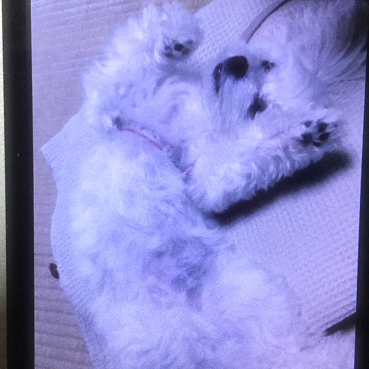 くねくねのココ　笑笑
