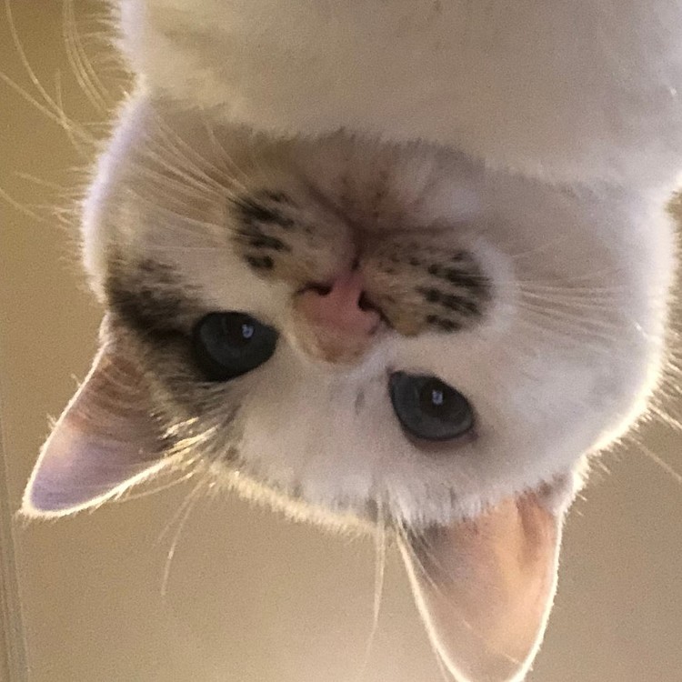 初めての自撮り😃