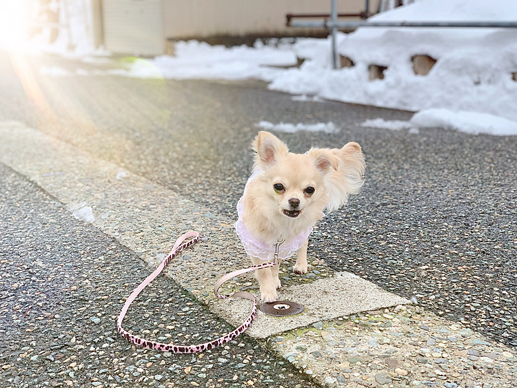 楽しそうに走ってる姿が
なんか感動🥺
