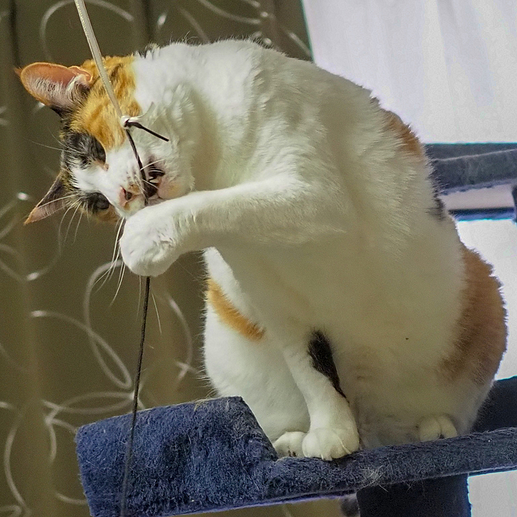 仕事人ごっこ