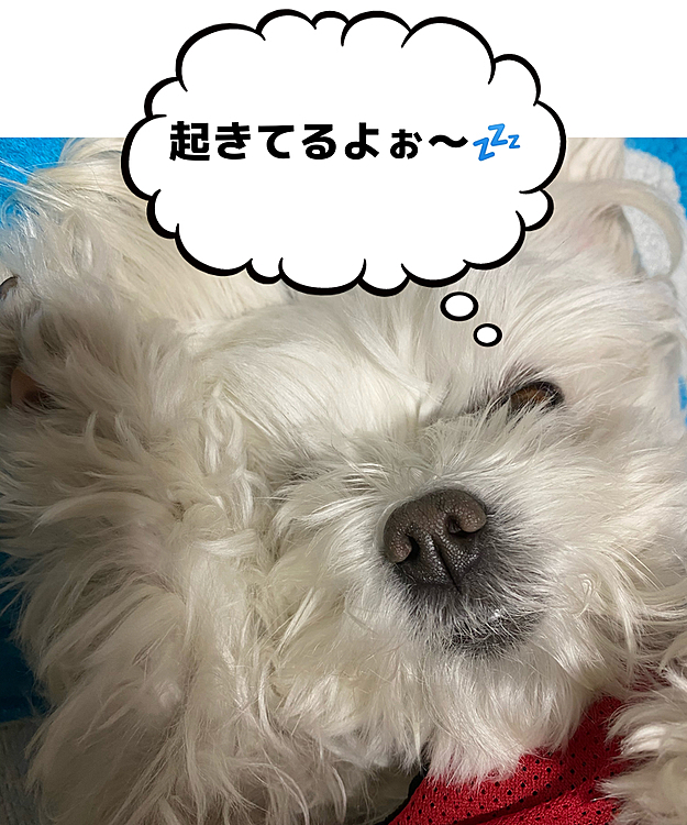 ココの母の投稿