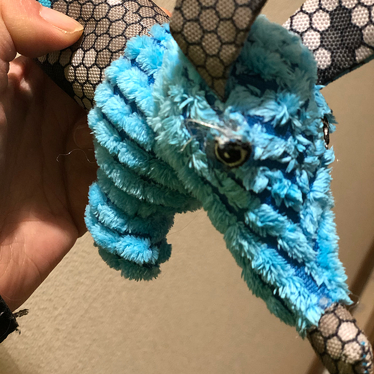プレゼントに渡したオモチャ🎁
さっそく目が取れそうです💦
1日しかもたないってどーなのよ〜🤣

もちろん犯人は…小春🐶😂