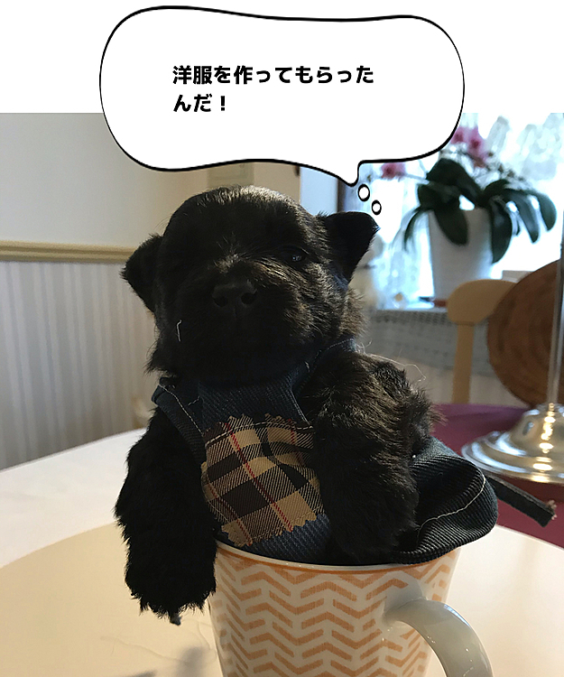 オーナー2280の投稿