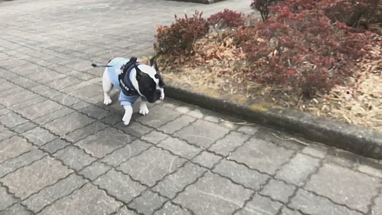こちらもスローになってました😆