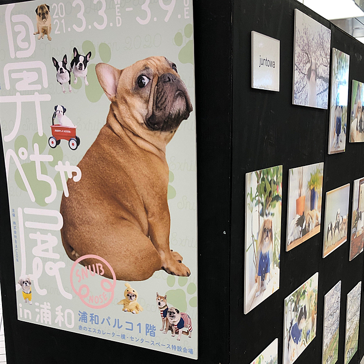 かわいいグッズに、とうちゃん大はしゃぎ😅