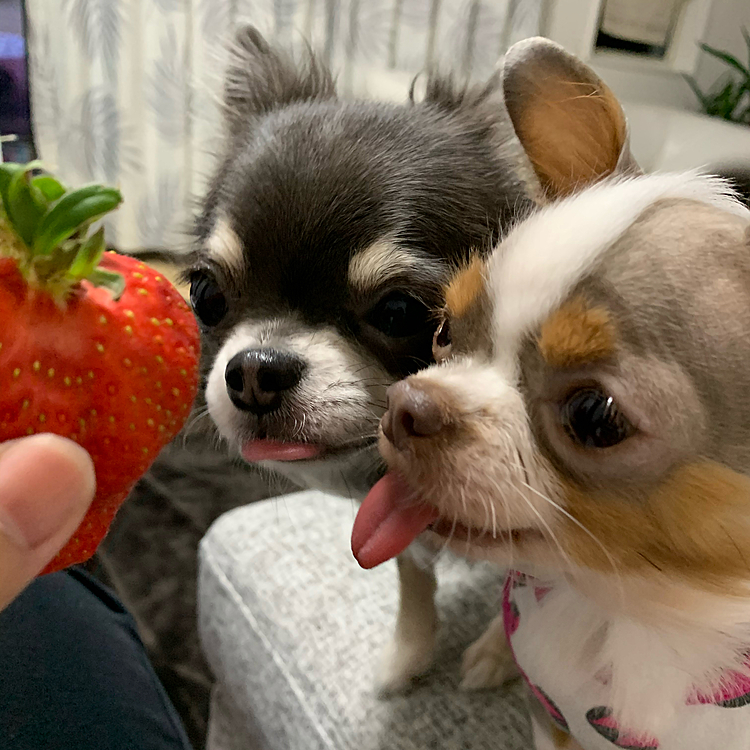 ちょーだい💖