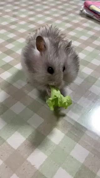 続きです😊