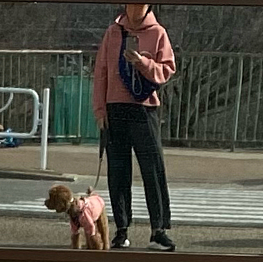 先週ですが、ハッピーとお揃いコーデ🎶
と思いピンクで揃えたら林家ペーパー子みたいになりました😅