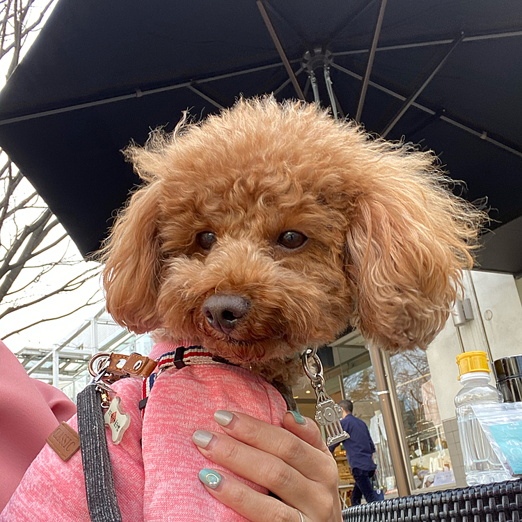 ショッピングモールで一休み💕