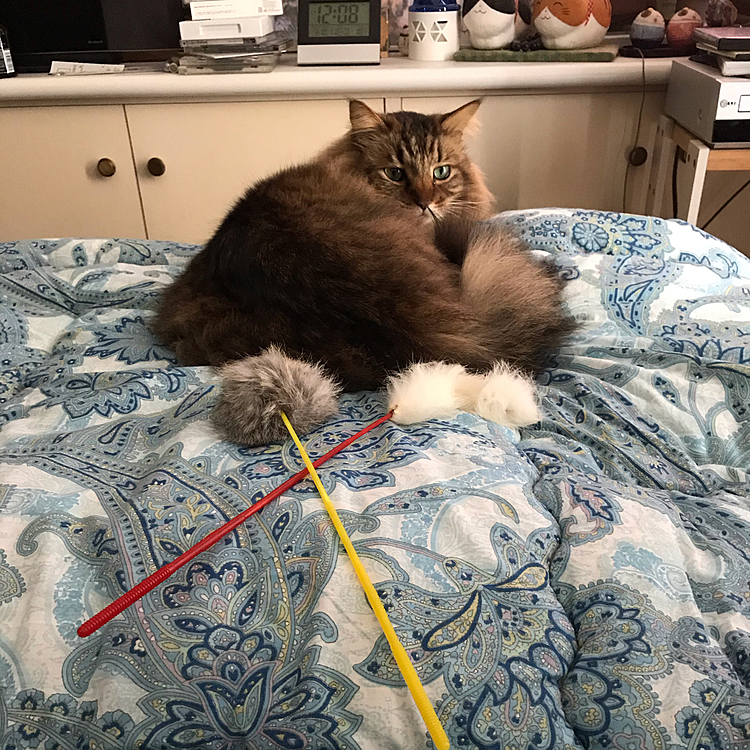 まったり、まったり😺😺