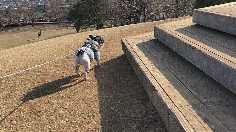 色々なところをクン活です😁
