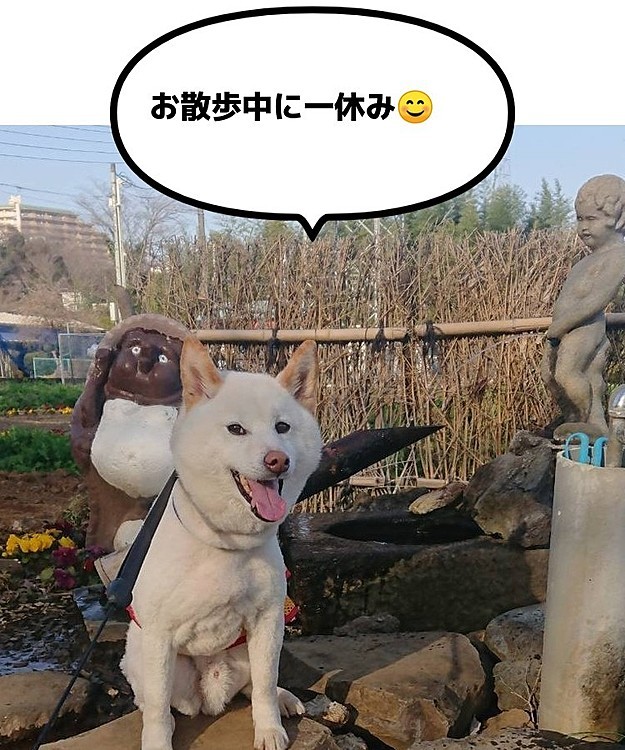 何故か投稿が消えてしまいました😭再投稿させていただきます🙇‍♀️いいね、コメント下さった方申し訳ありません🙇‍♀️💦💦