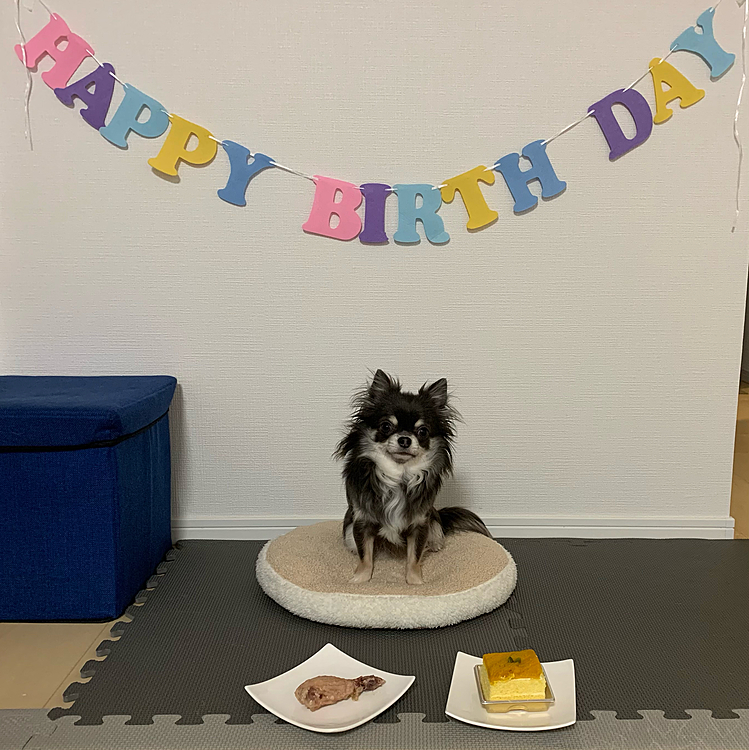 1才のお誕生日おめでとう🥳👏🎉