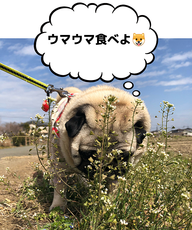シェフの気まぐれサラダ🥗
満喫です🤣