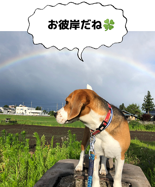 ココ🐶🎀おかえり〜🥰