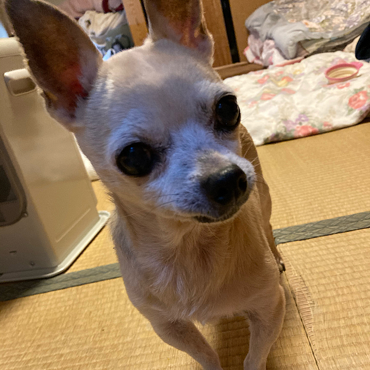 元気です♪