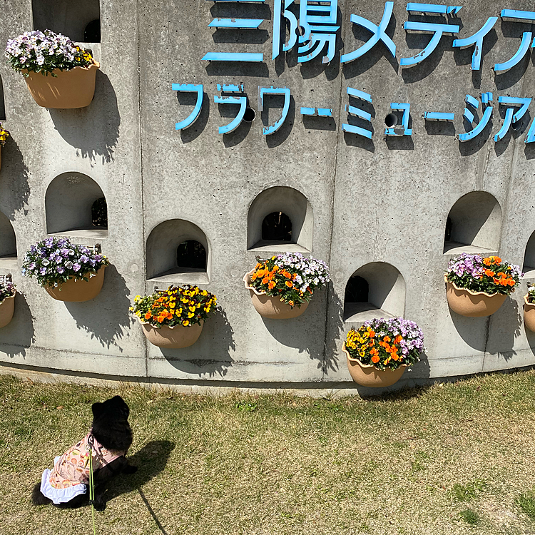 くうちゃんの投稿みて次の日に行ってみました😁