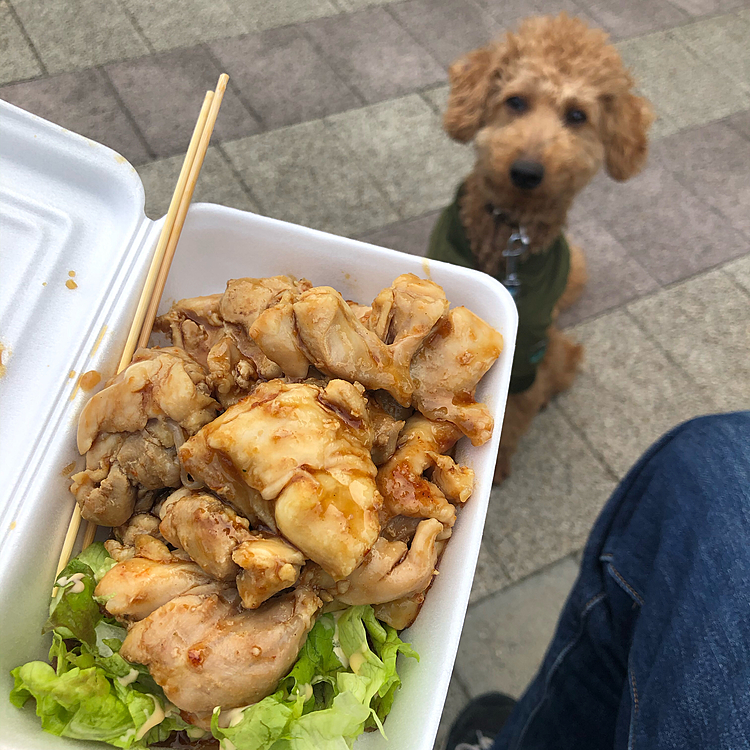 ニコばかり試食を食べてずるいので、私も負けじと買い食いです😋
ジューシーな鶏肉で何気に美味かったな。
