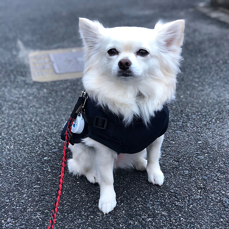 おすまし顔もパチリ📸
