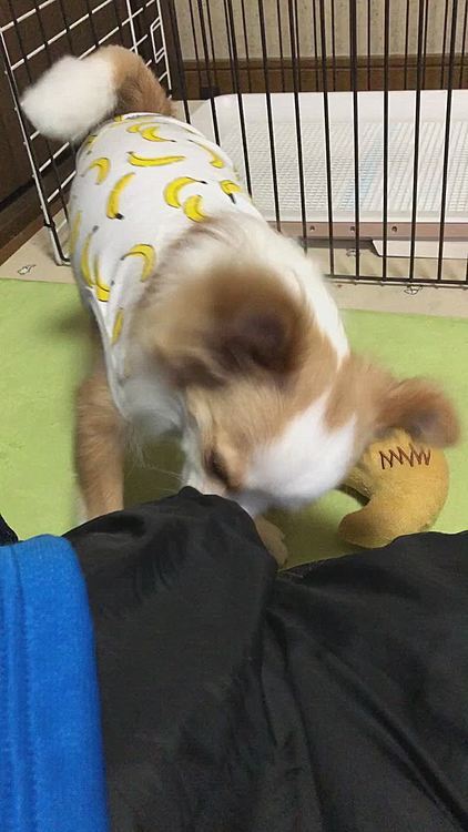 またまた持ち物検査されました💦
追求が厳しい〜🤣