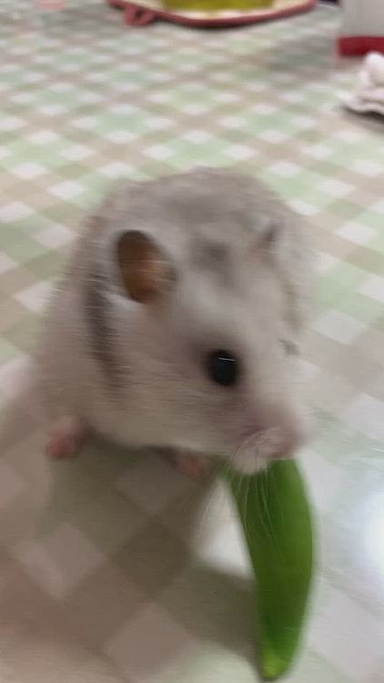 えっと…お家お家🏠と…
