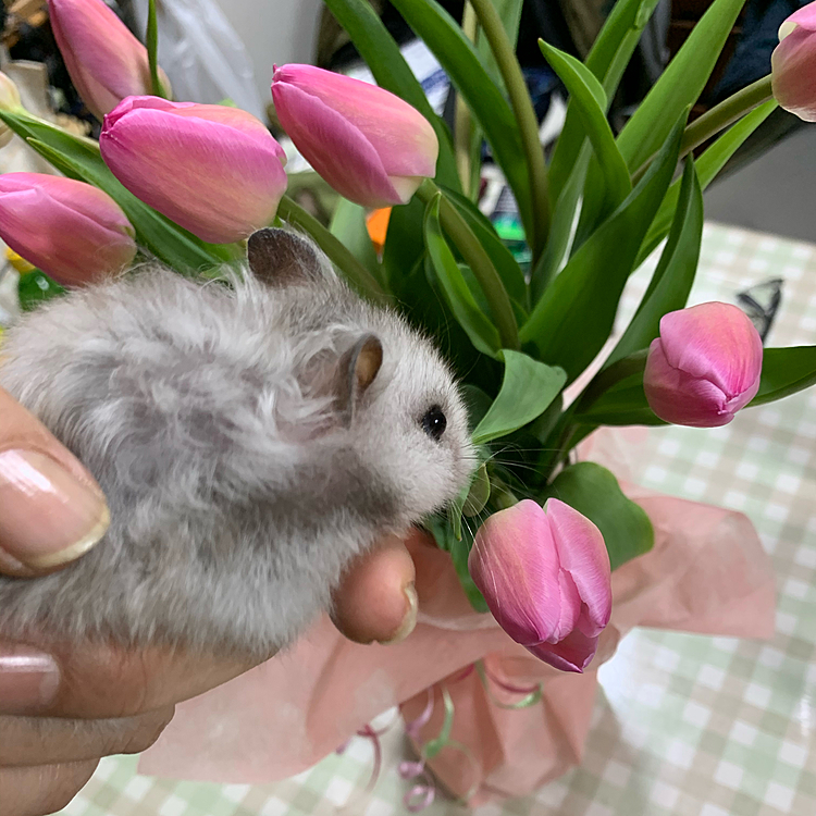 何か臭うな…⁉️