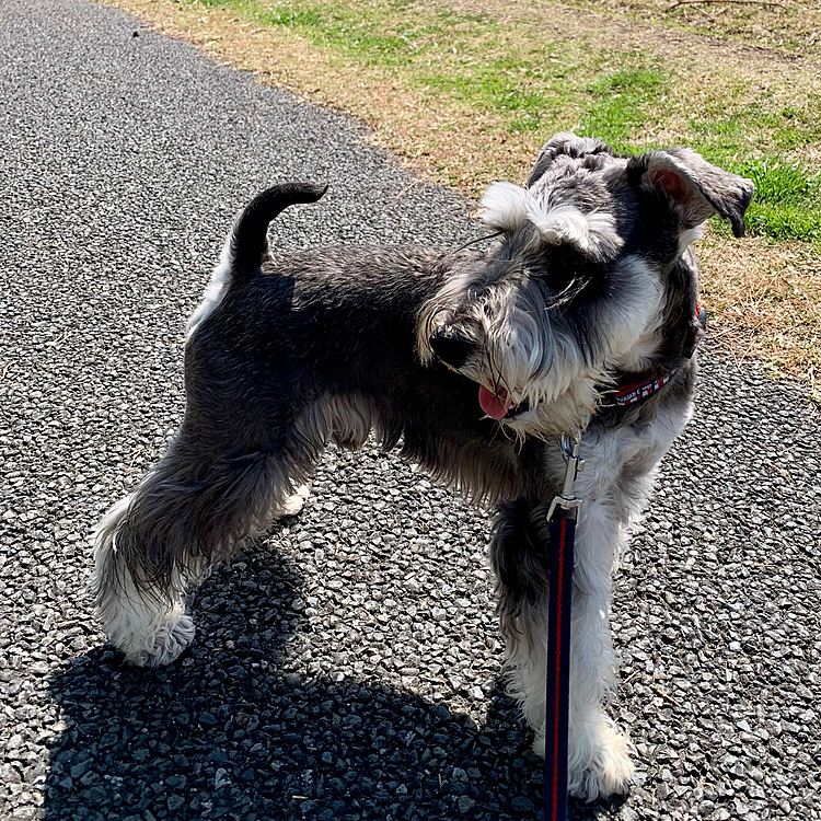 気持ちいい天気なので近くの公園に来ました♪