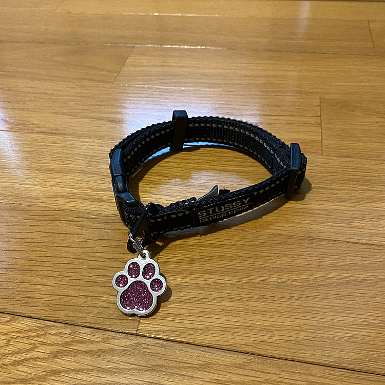 最近、新しい迷子札を作りました💖🐾
裏に名前KAIと私の携帯番号が彫ってあります😄
安心だけど、迷子になりませんように🙏
