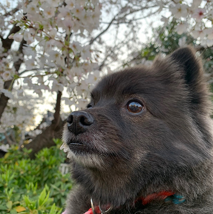 ちょっとぐらい目線ください。🙏🏻
