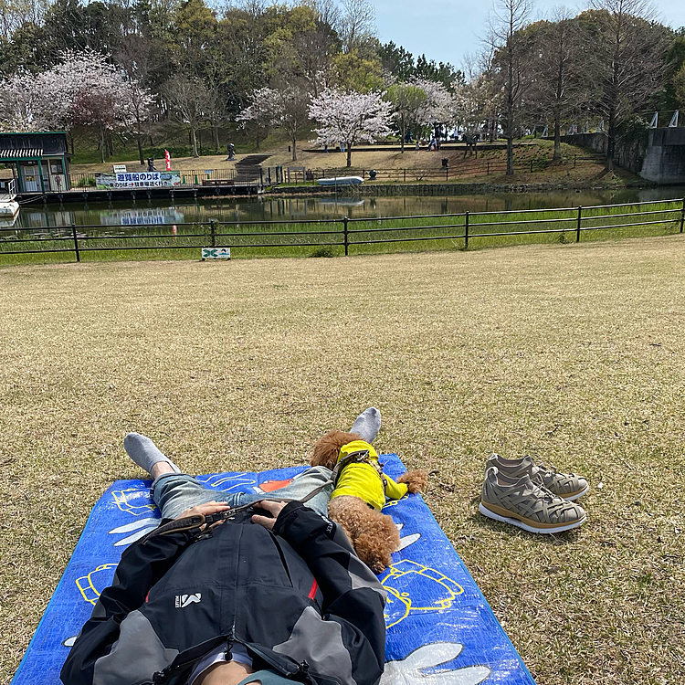 もちろんお昼寝も😪💤