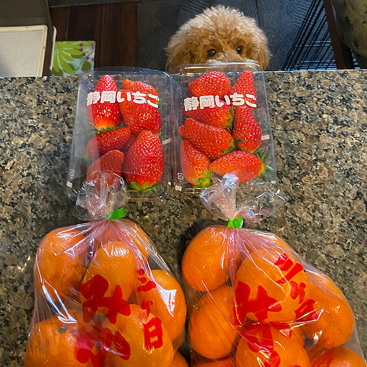 でもこっちの方が気になるね🍓🍊
ウマウマでしたー😋