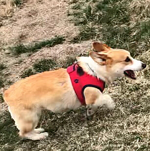走る笑顔♥️