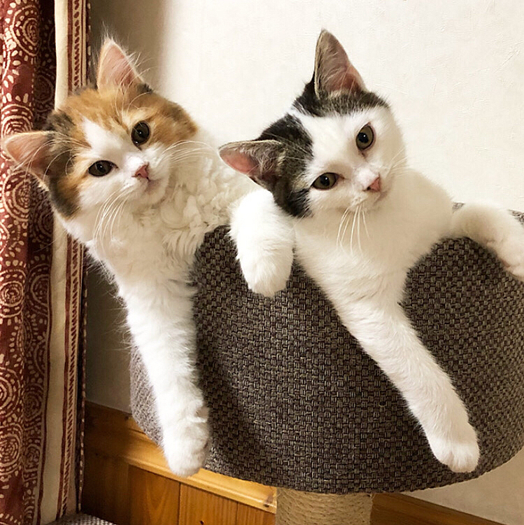 仲良し姉妹です❤️