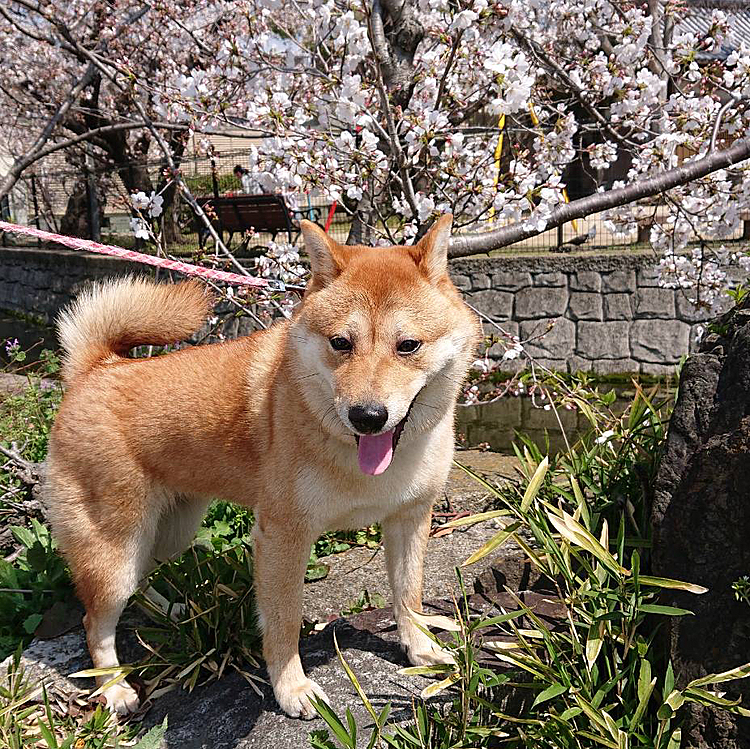 あくびの途中にパシャリ📸