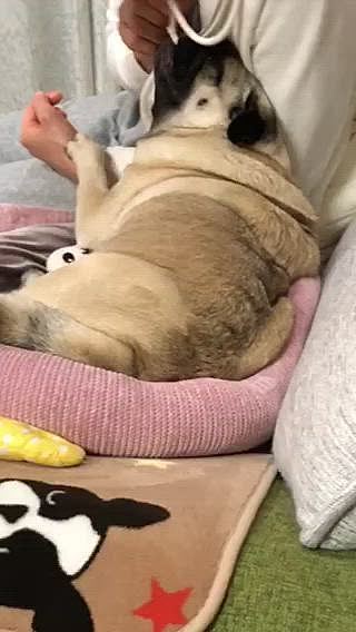 ママ大好き💕