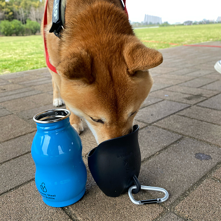 にいにからのプレゼント🎁の新しい水筒で水分補給😊