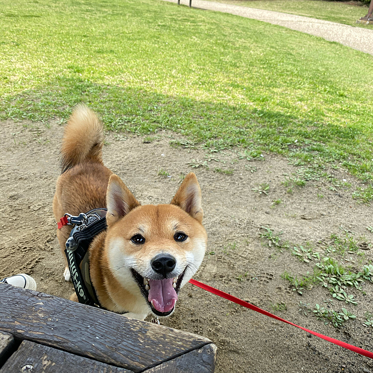 今日も楽しそうな櫂でした😄