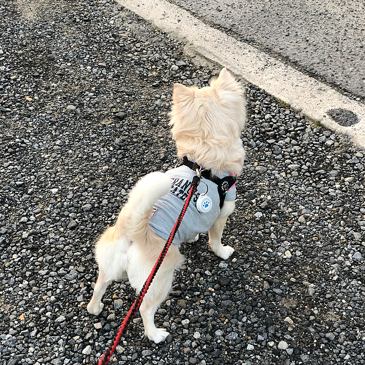 後ろ姿が凛々しくて男前やわぁ💕🤣