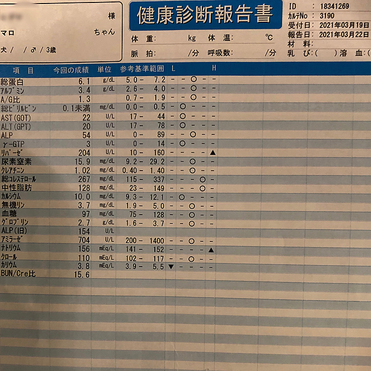 保険会社の腸内フローラ測定の結果から勧められた血液検査の結果が出ました😀
リパーゼの数値がほんの少し高いので、掛かりつけの病院に結果を見てもらおうと思います🙂