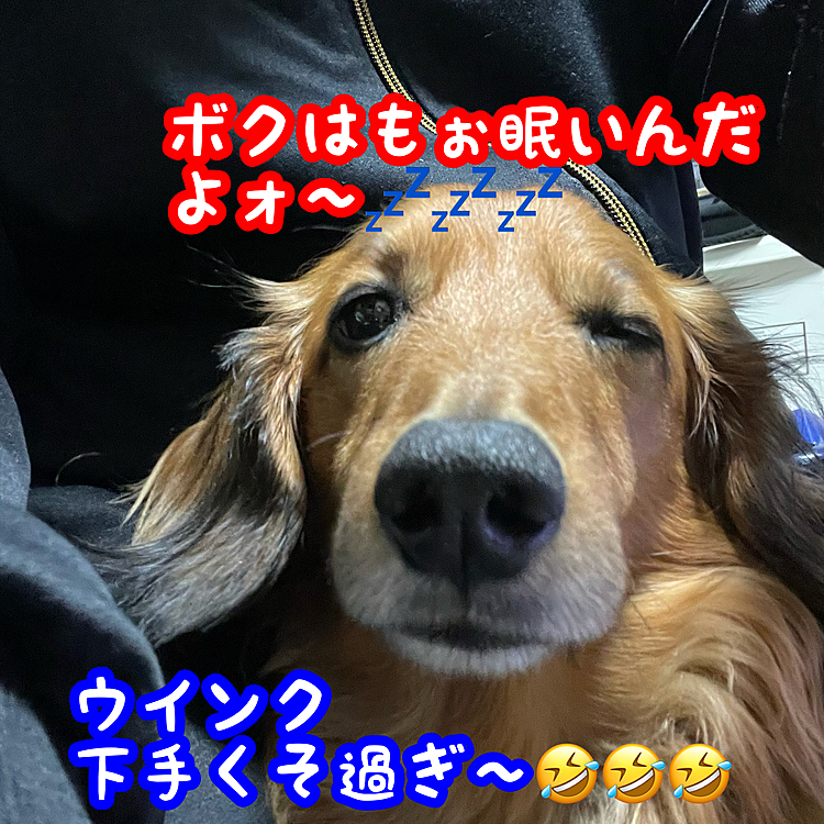 もぉ眠いんだよね～（人´∀`*）
別にウインクしてる訳じゃないんだよね～ꉂ л̵ʱªʱªʱª (ᕑᗢूᓫ∗)˒˒