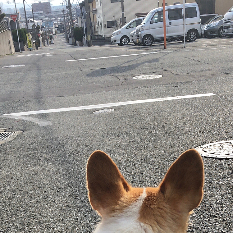 登り坂好きだけど。。疲れた😊
って事で、一休み😊