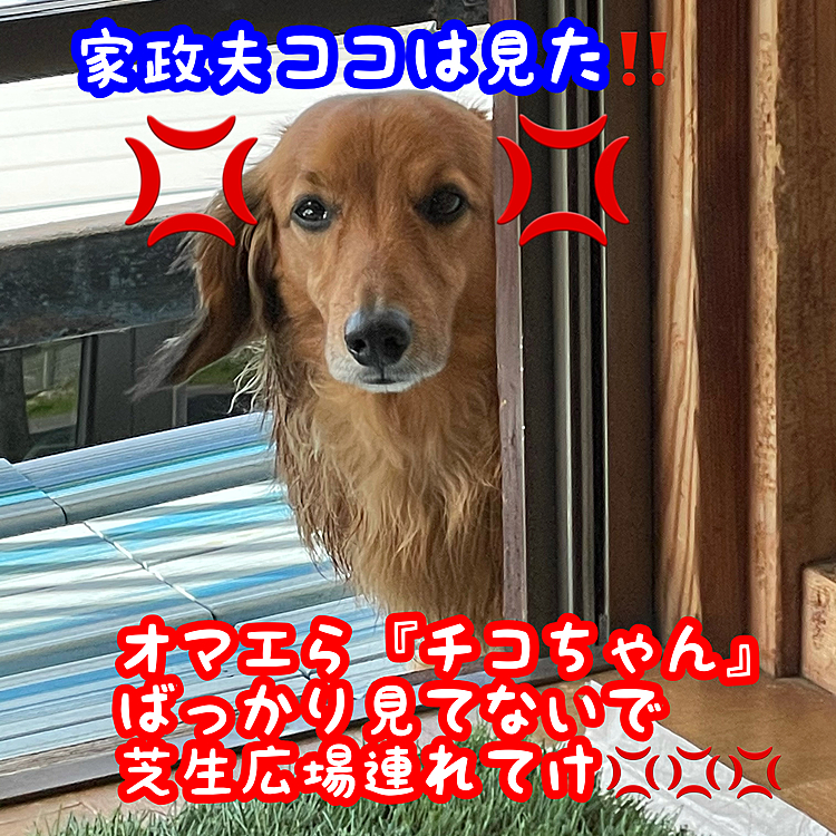 スゴく見られてる(￣▽￣;)(笑)