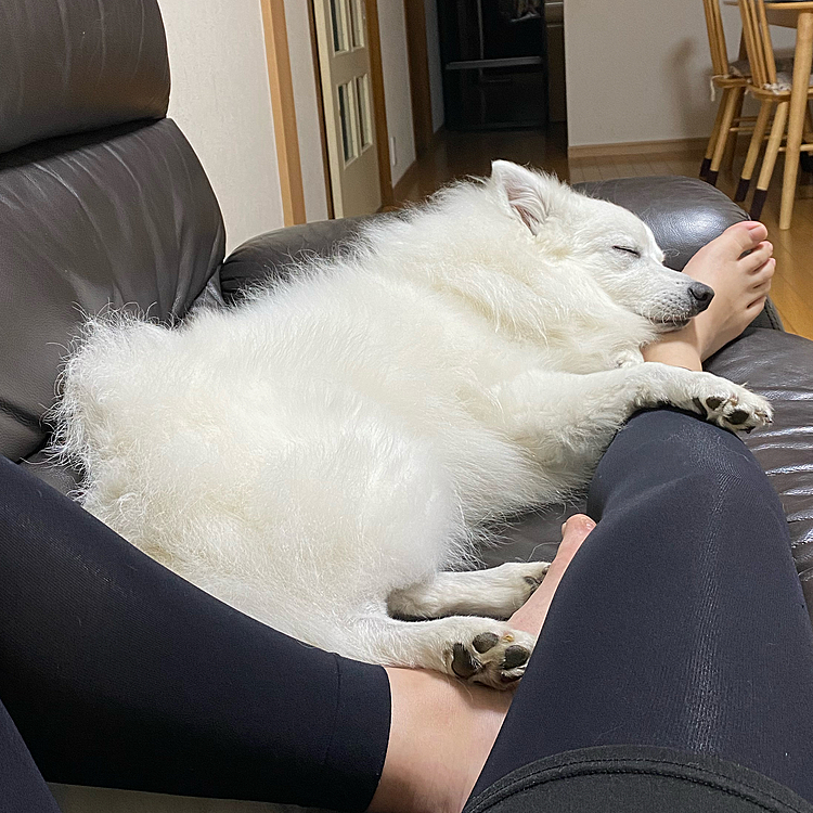 ママの足を枕にスヤスヤしてるねぇ❤️可愛いねぇ❤️