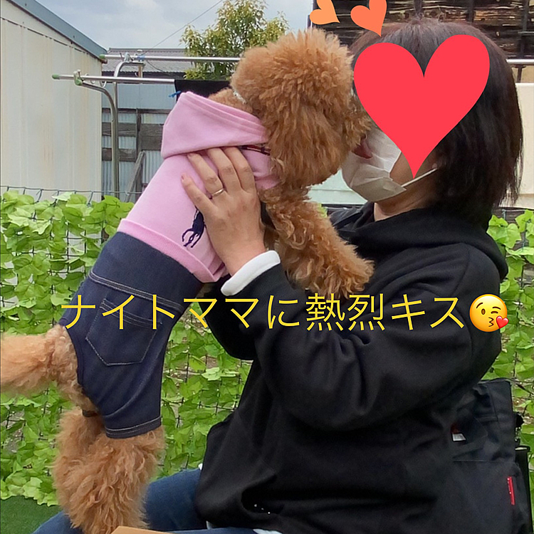 福井からのナイトママさんに次ぎ早々に到着したので駅まで迎えに来てくれたルルママさんのお宅、憧れのルルちゃんガーデンにお邪魔してナイトママさんにたくさん甘えていました😍