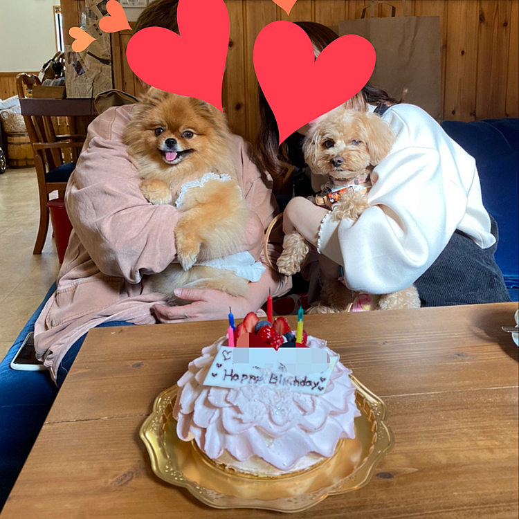 ルルママとはなママが共に来週誕生日とわかり急遽ケーキでサプライズしたり、撮影会ではやっぱりワチャワチャ苦労したりあっという間に夕方になってしまいました😆