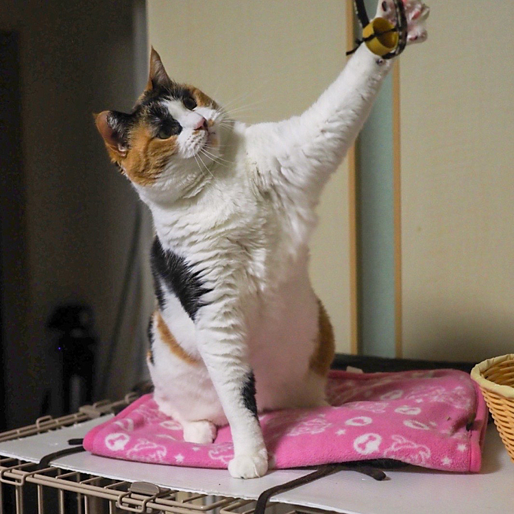 左パンチ。
